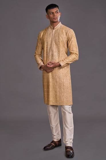 Festive Embroidered Kurta